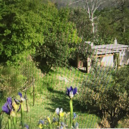 Cortijo La Vinuela Villa Atalbeitar Kültér fotó