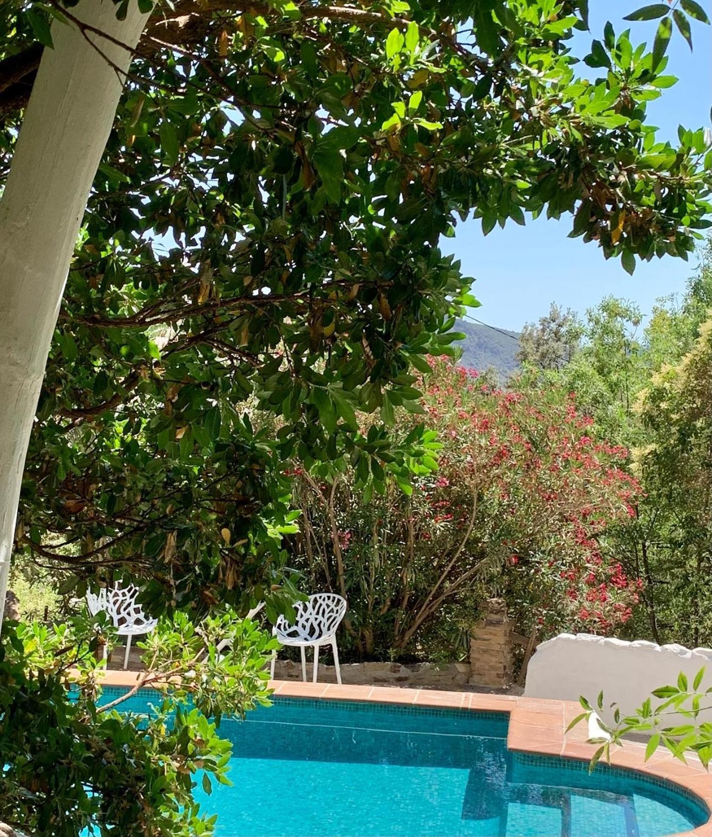 Cortijo La Vinuela Villa Atalbeitar Kültér fotó