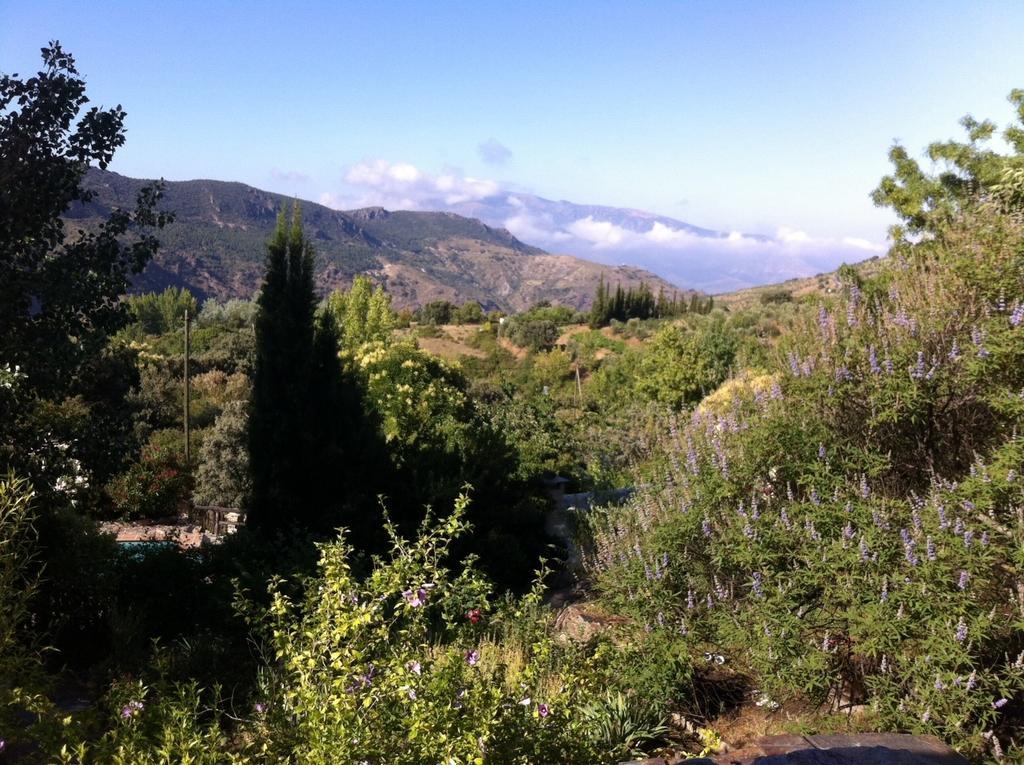 Cortijo La Vinuela Villa Atalbeitar Kültér fotó
